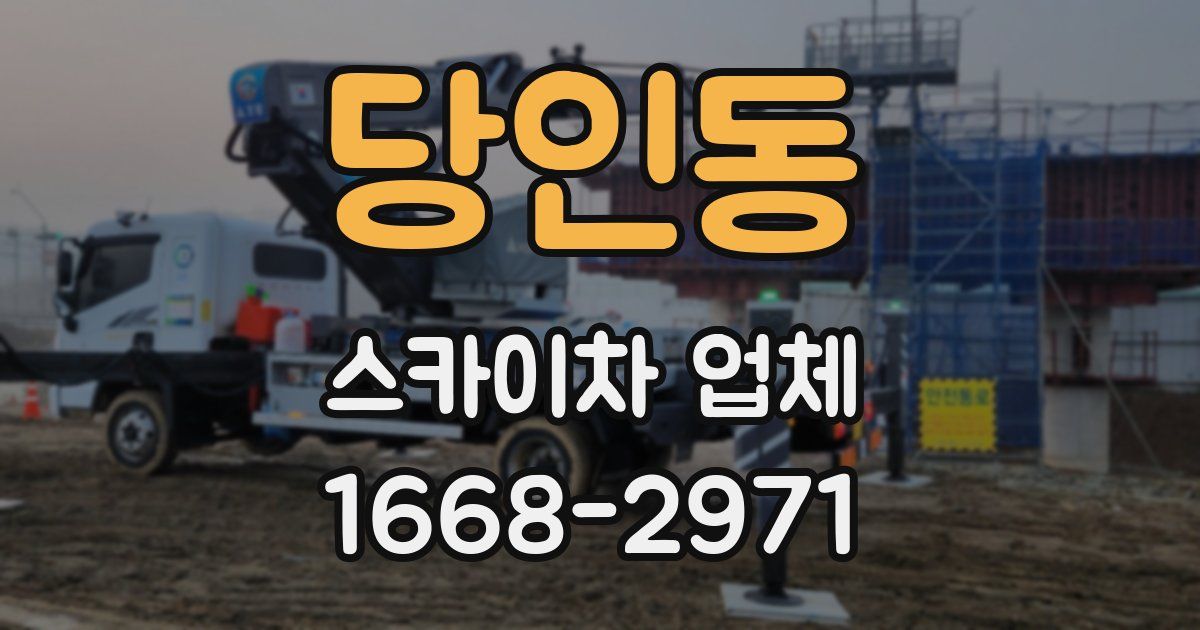 당인동 스카이차 업체