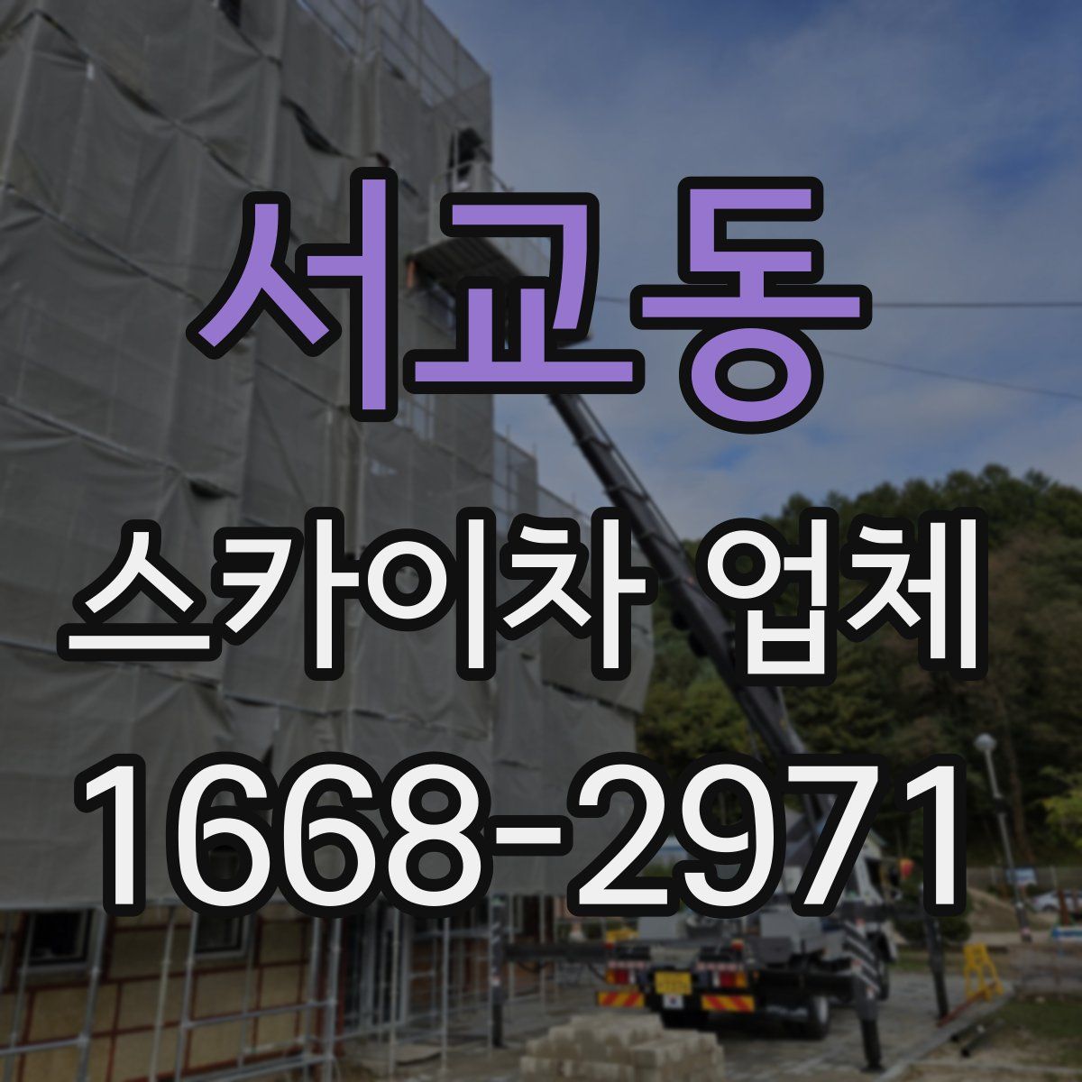 서교동 스카이차 업체