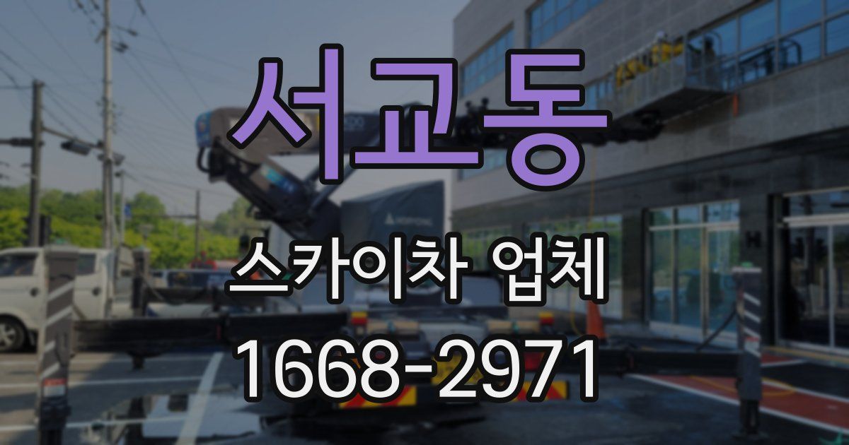 서교동 스카이차 업체