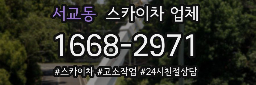 서교동 스카이차 업체