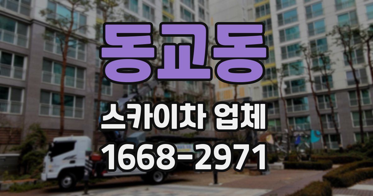 동교동 스카이차 업체