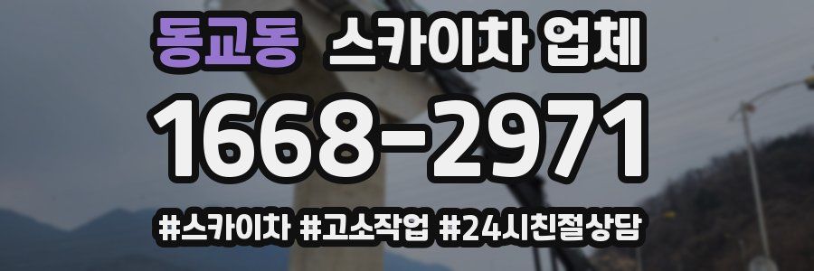 동교동 스카이차 업체