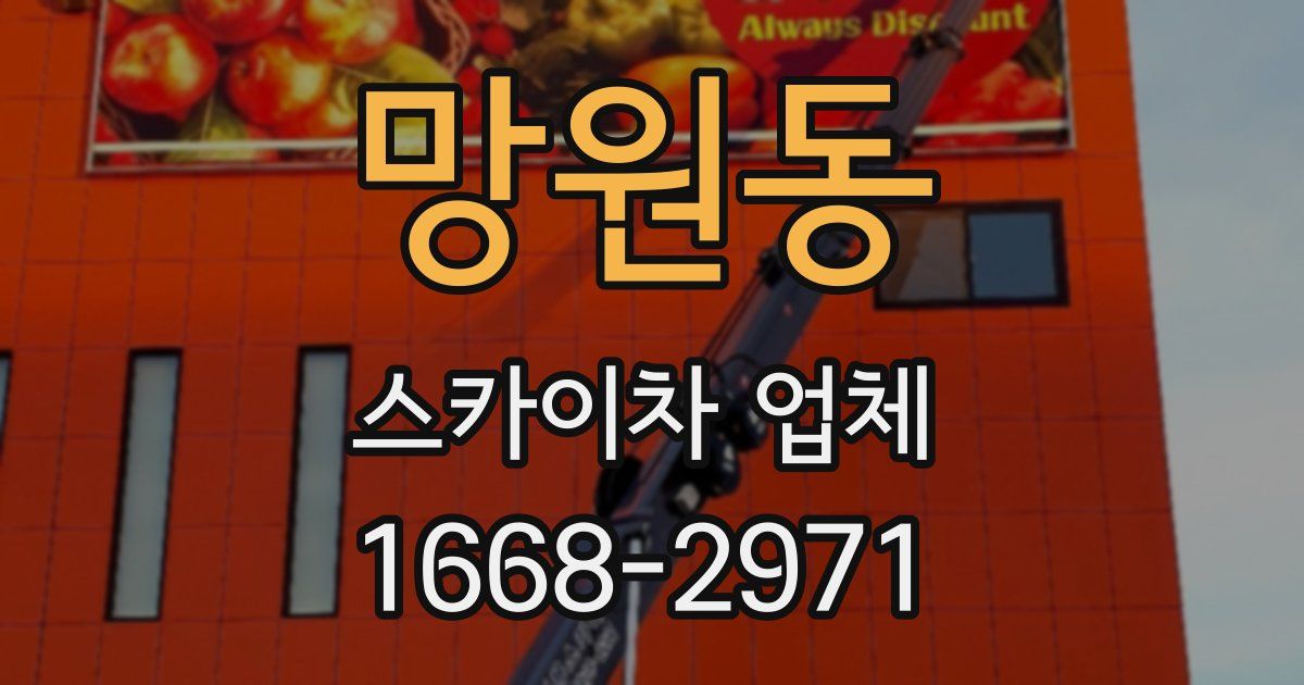 망원동 스카이차 업체