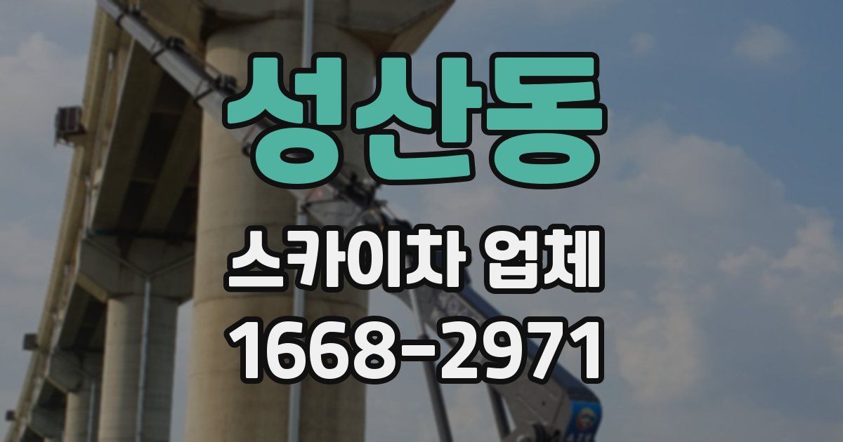 성산동 스카이차 업체