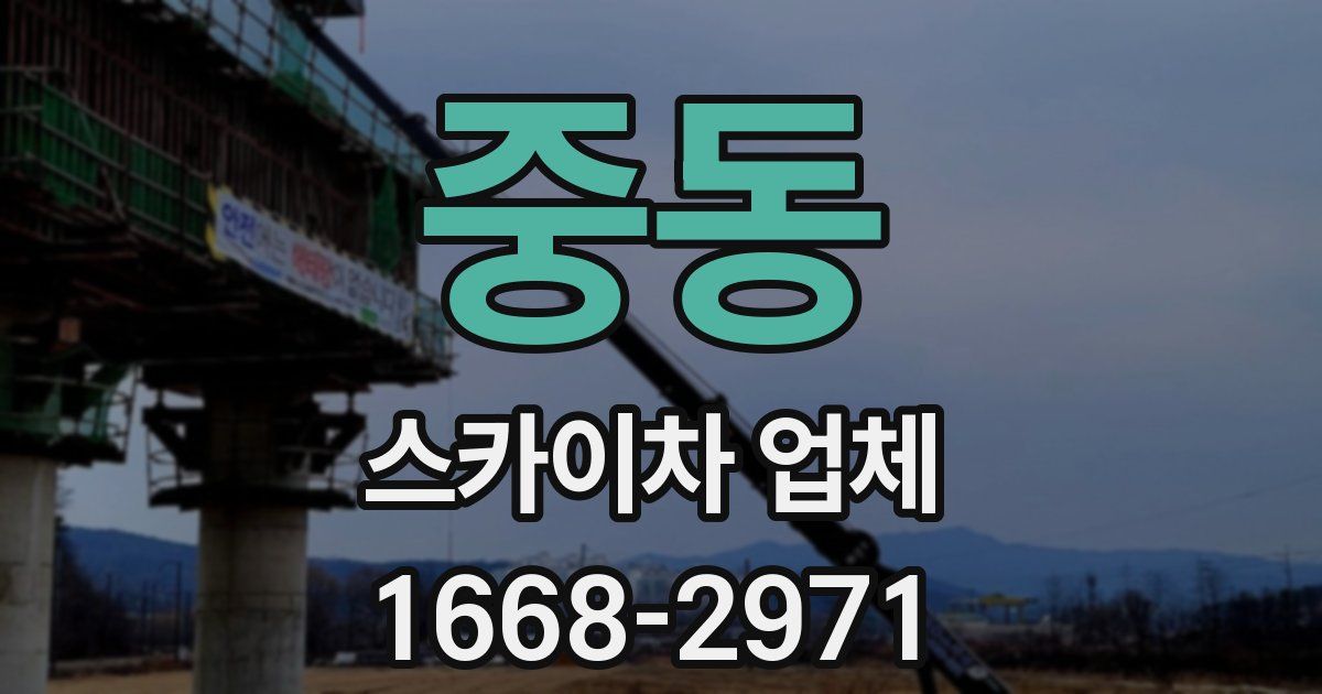 중동 스카이차 업체