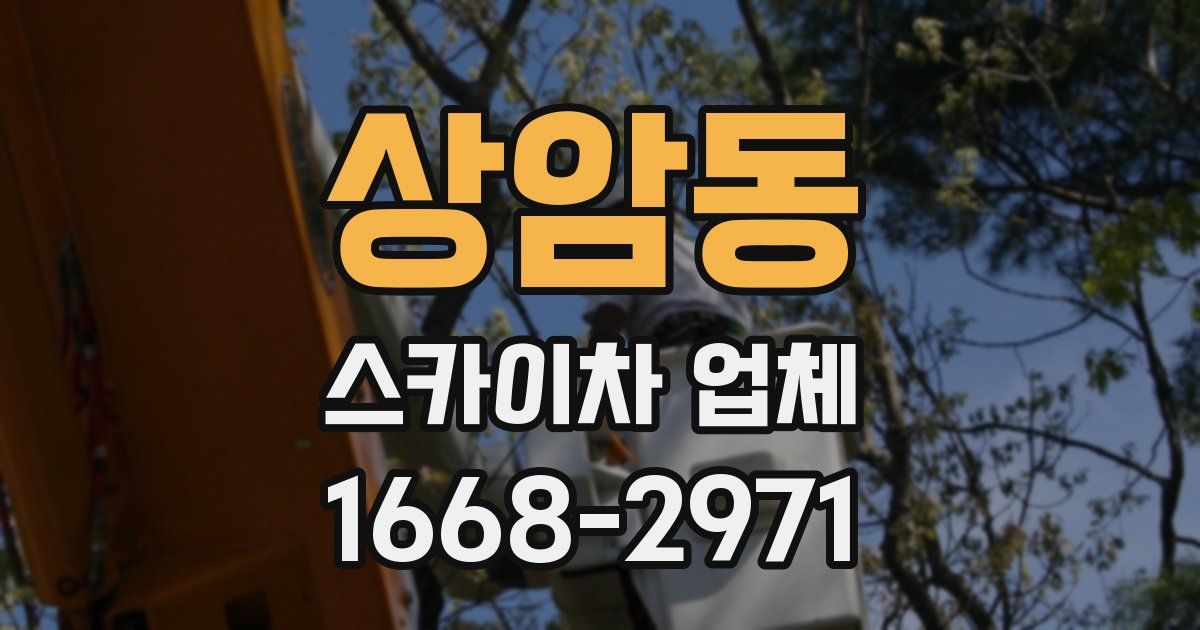 상암동 스카이차 업체