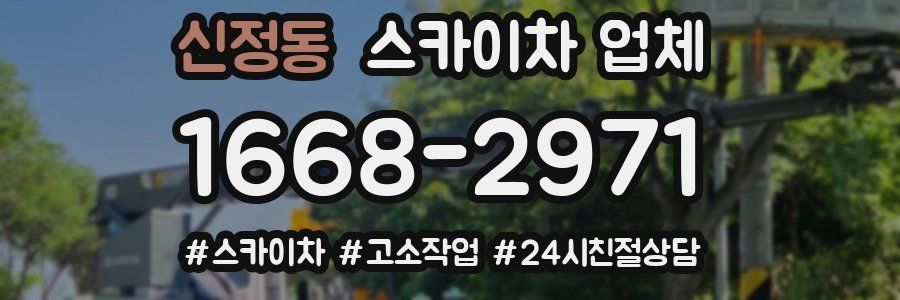신정동 스카이차 업체