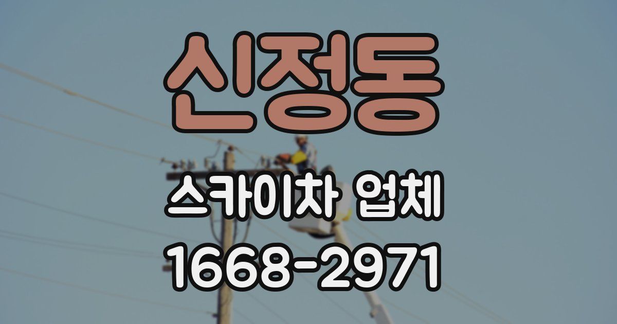 신정동 스카이차 업체