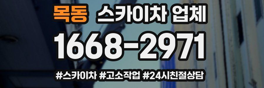 목동 스카이차 업체