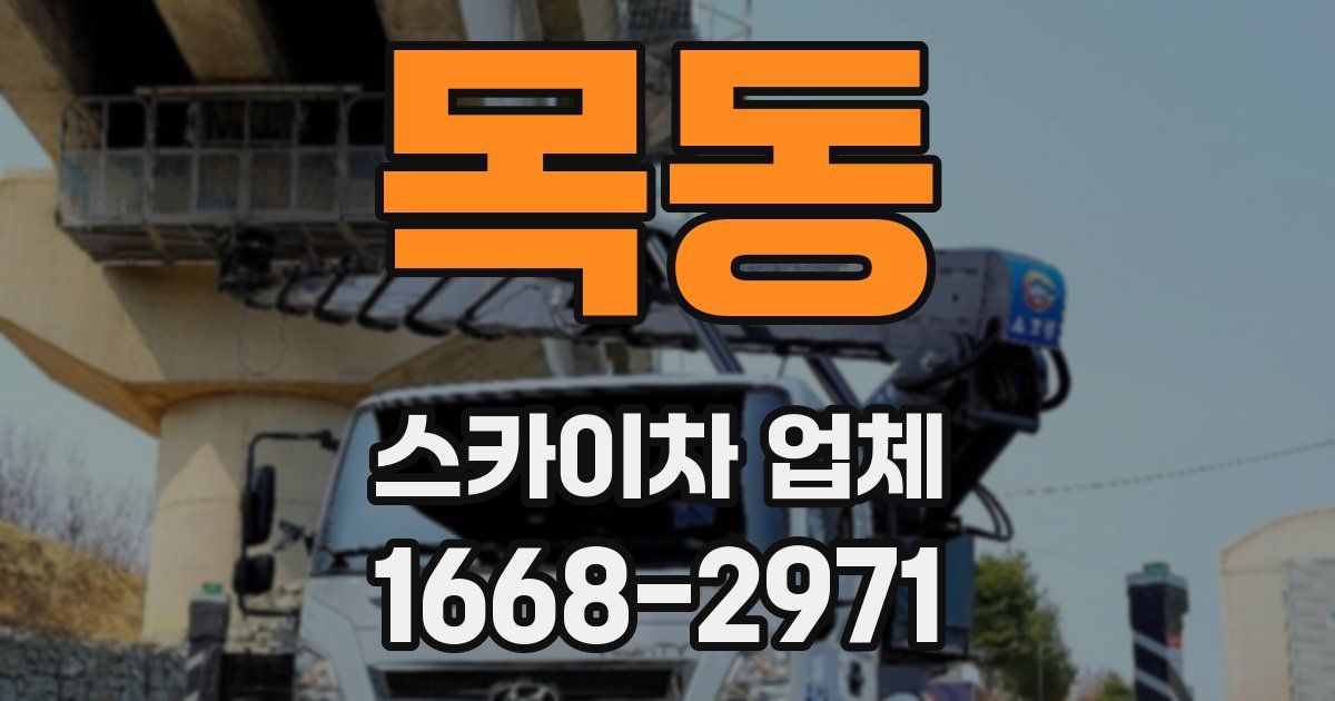 목동 스카이차 업체