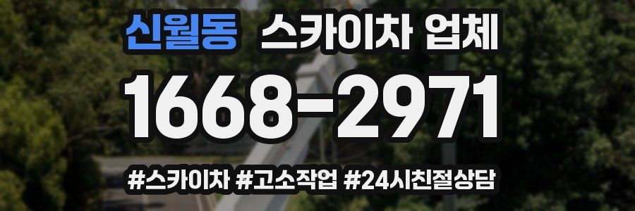신월동 스카이차 업체