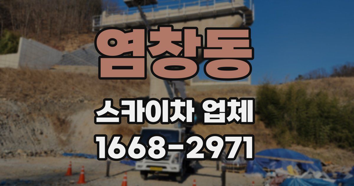 염창동 스카이차 업체