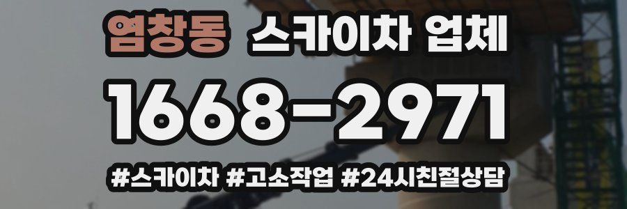 염창동 스카이차 업체