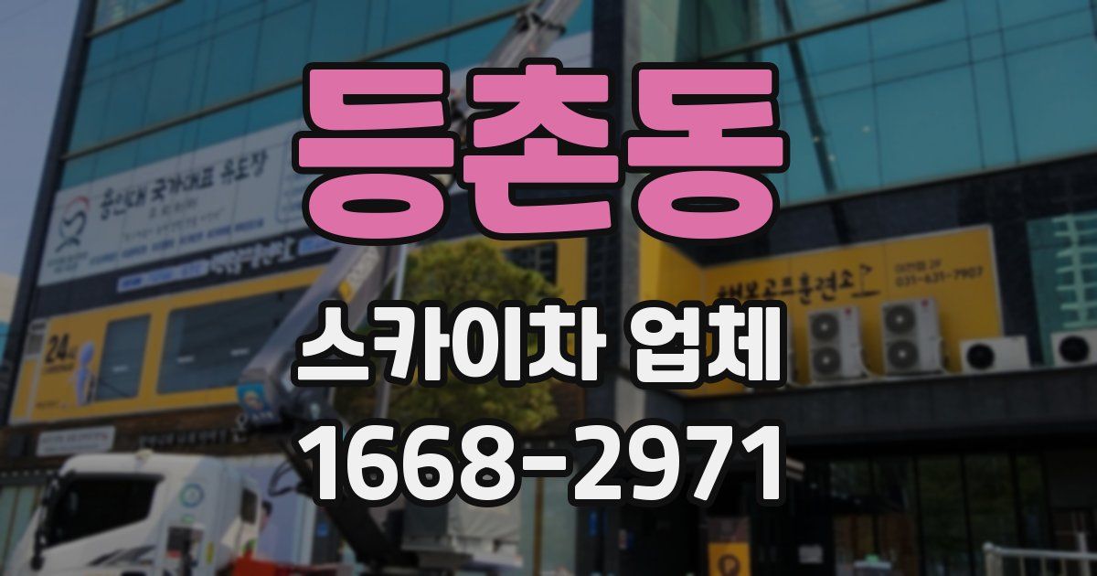 등촌동 스카이차 업체