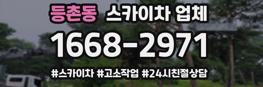 등촌동 스카이차 업체