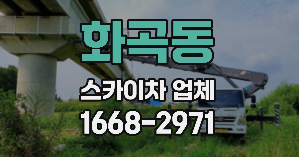 화곡동 스카이차 업체
