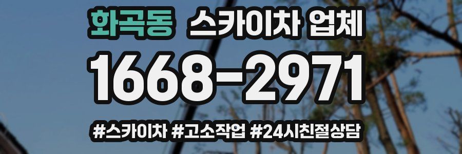 화곡동 스카이차 업체