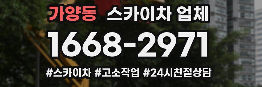 가양동 스카이차 업체