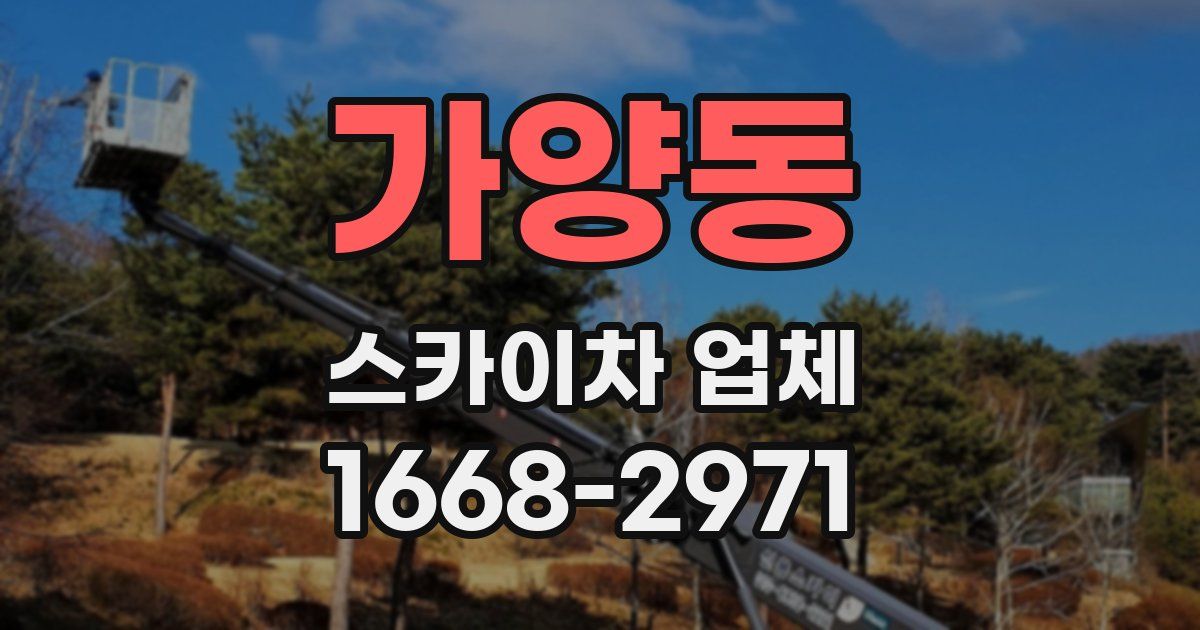 가양동 스카이차 업체