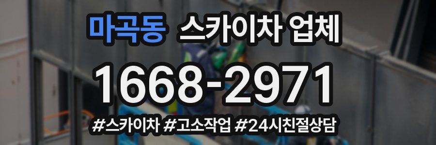 마곡동 스카이차 업체