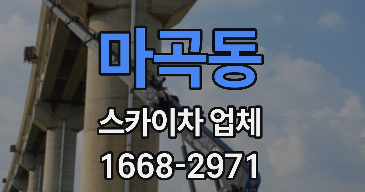마곡동 스카이차 업체