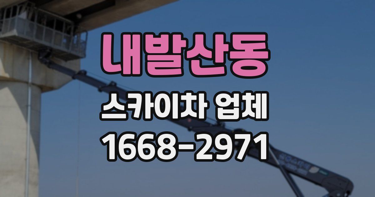 내발산동 스카이차 업체