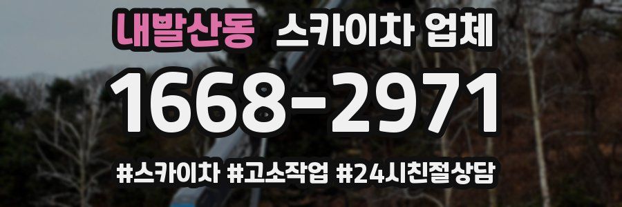 내발산동 스카이차 업체