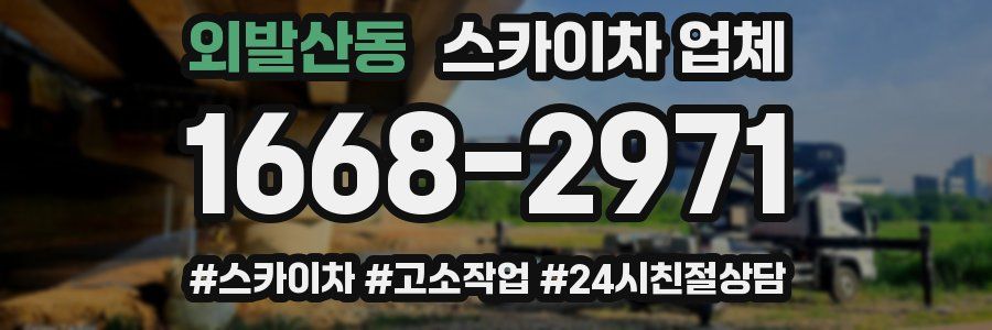 외발산동 스카이차 업체