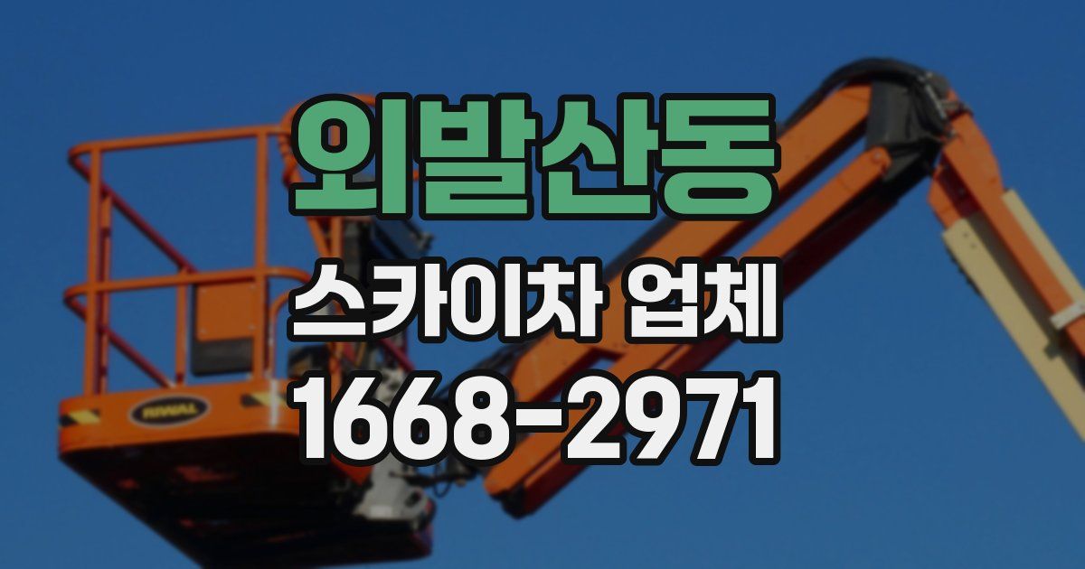 외발산동 스카이차 업체