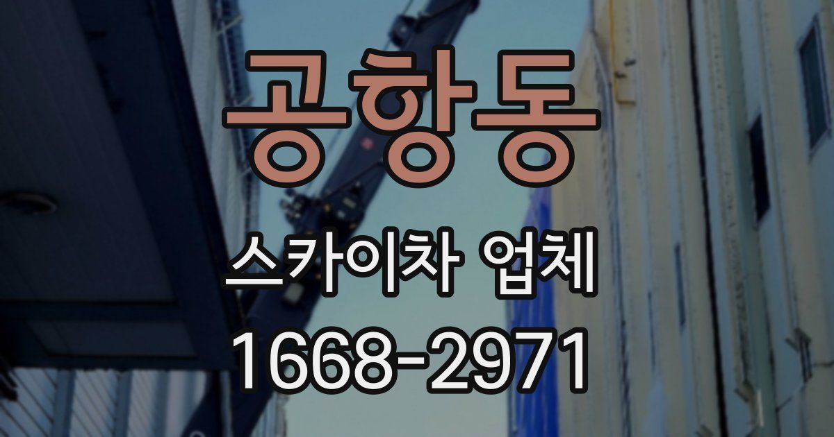 공항동 스카이차 업체