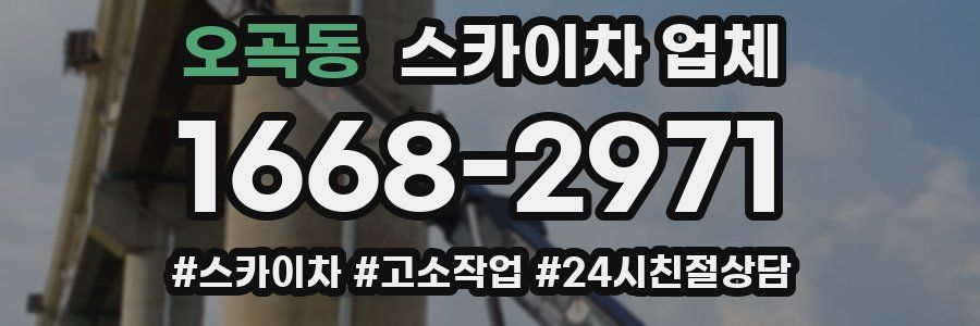 오곡동 스카이차 업체