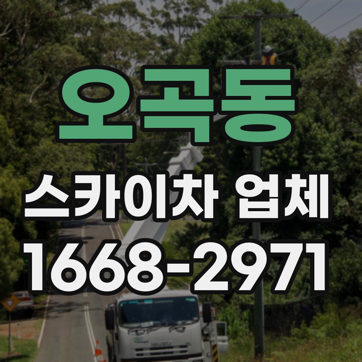 오곡동 스카이차 업체