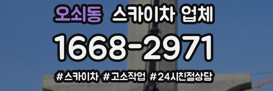 오쇠동 스카이차 업체