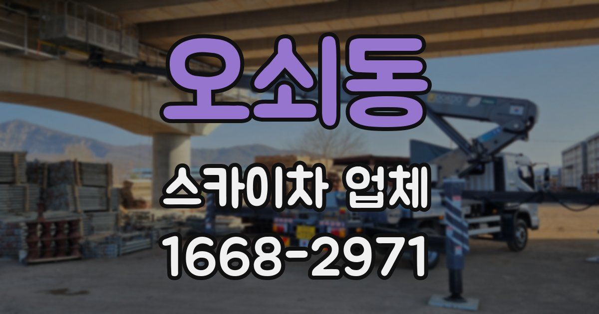 오쇠동 스카이차 업체