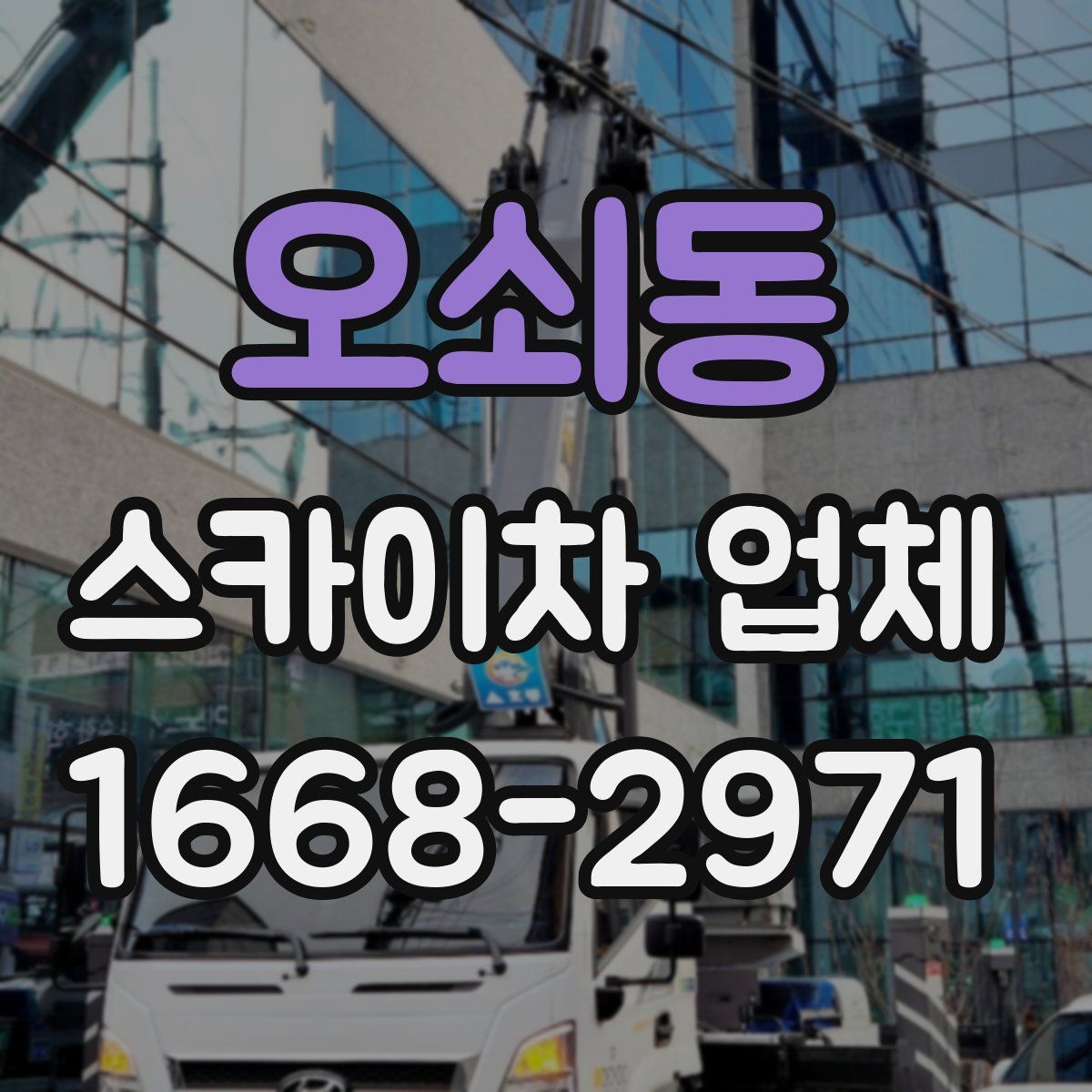 오쇠동 스카이차 업체