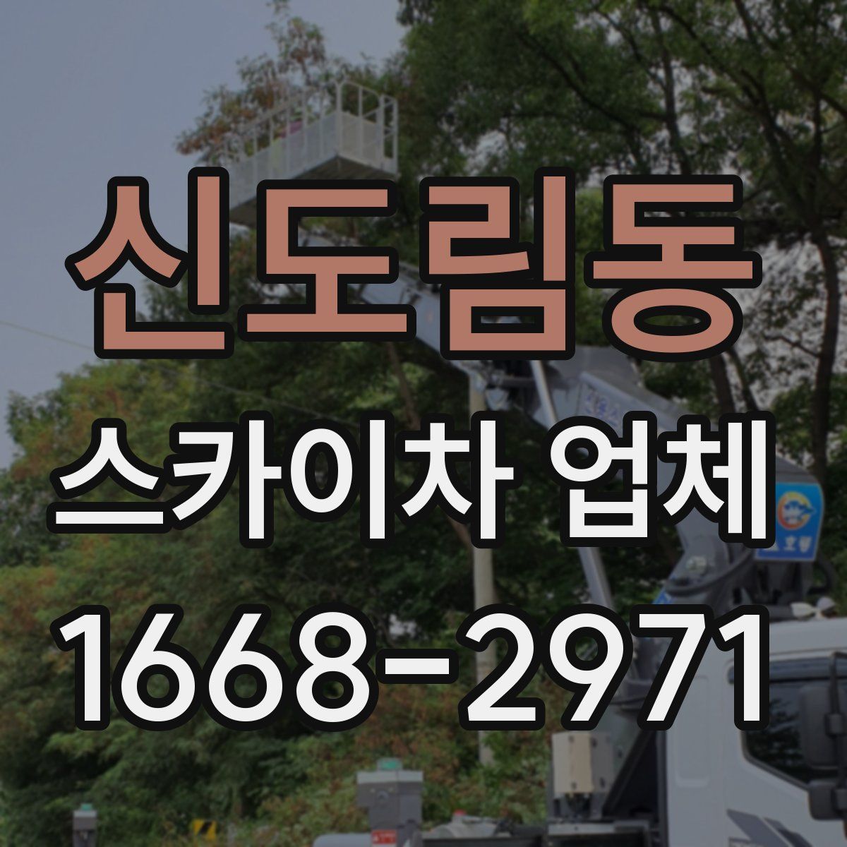 신도림동 스카이차 업체