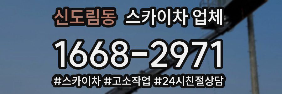 신도림동 스카이차 업체