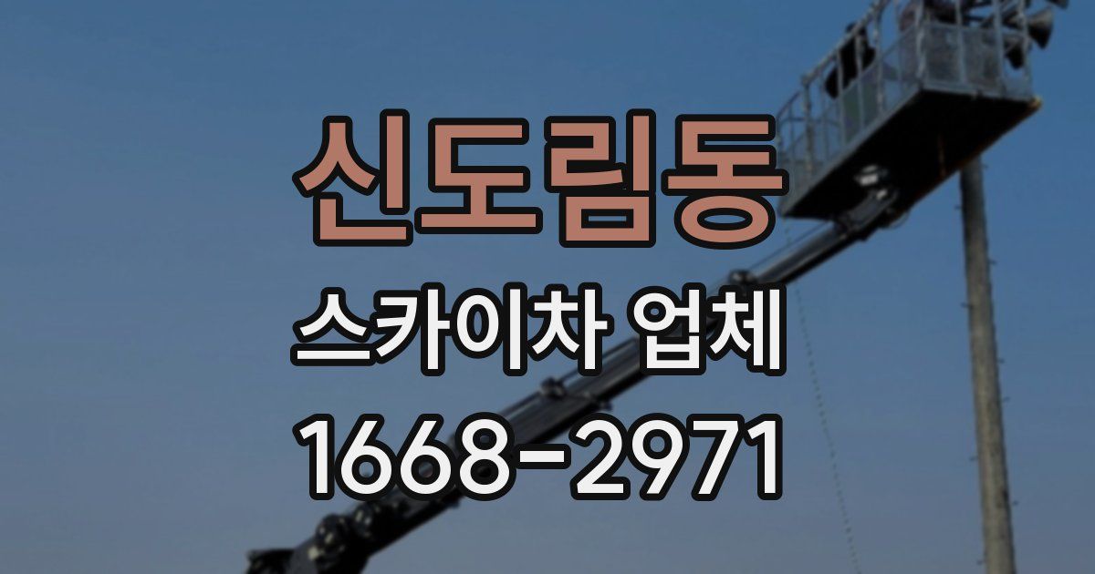 신도림동 스카이차 업체