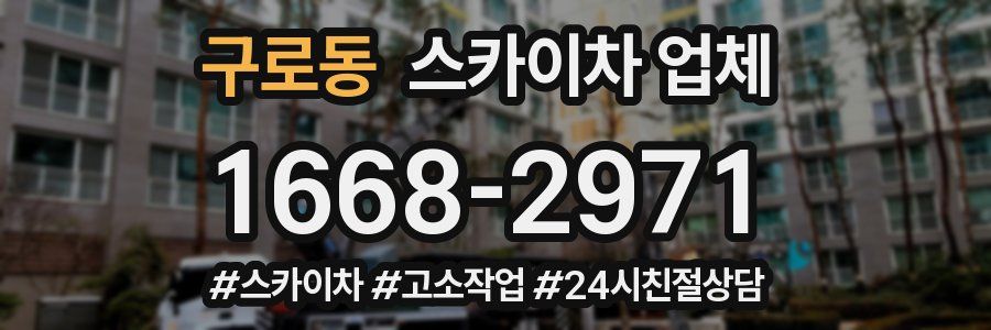 구로동 스카이차 업체