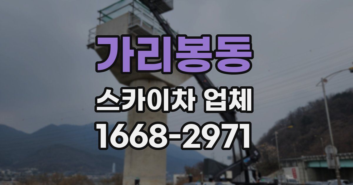 가리봉동 스카이차 업체