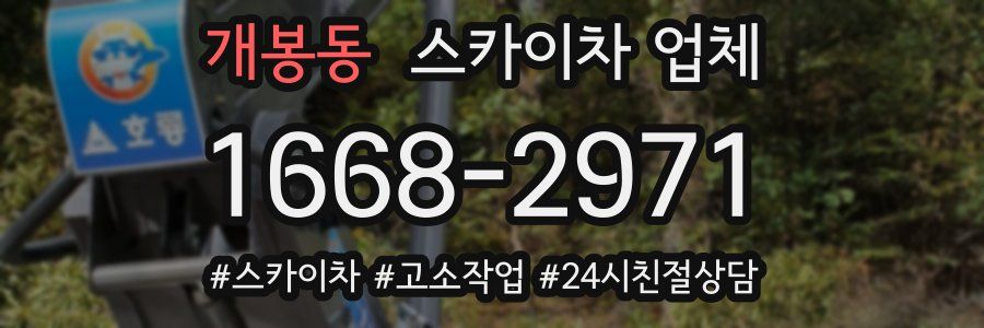개봉동 스카이차 업체