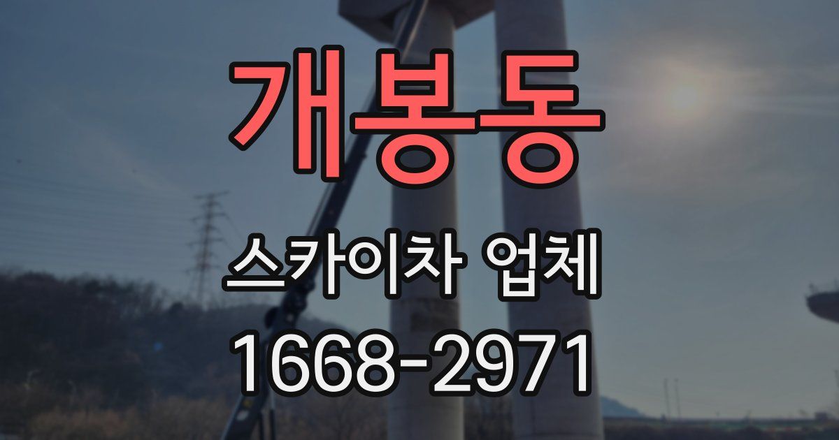 개봉동 스카이차 업체