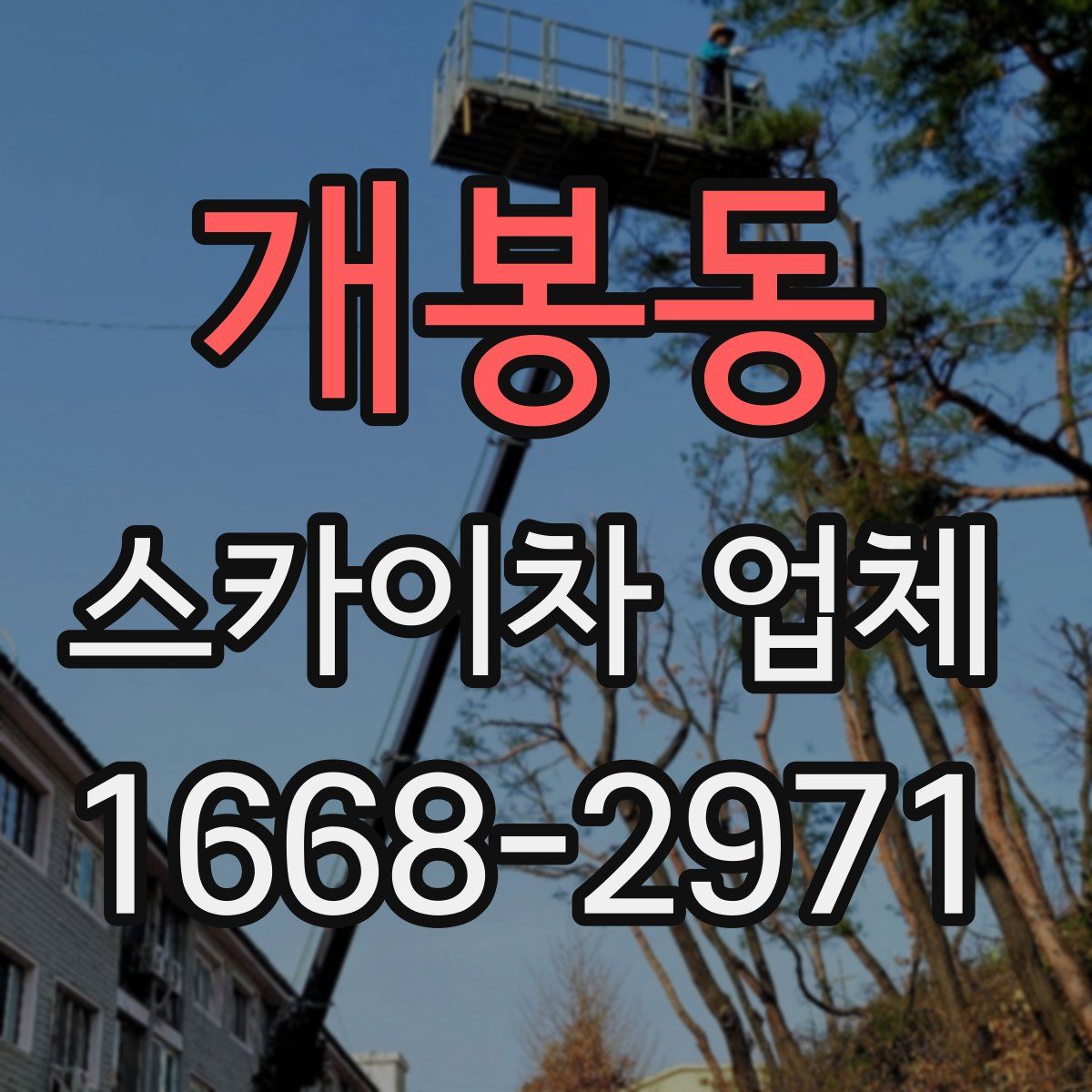 개봉동 스카이차 업체