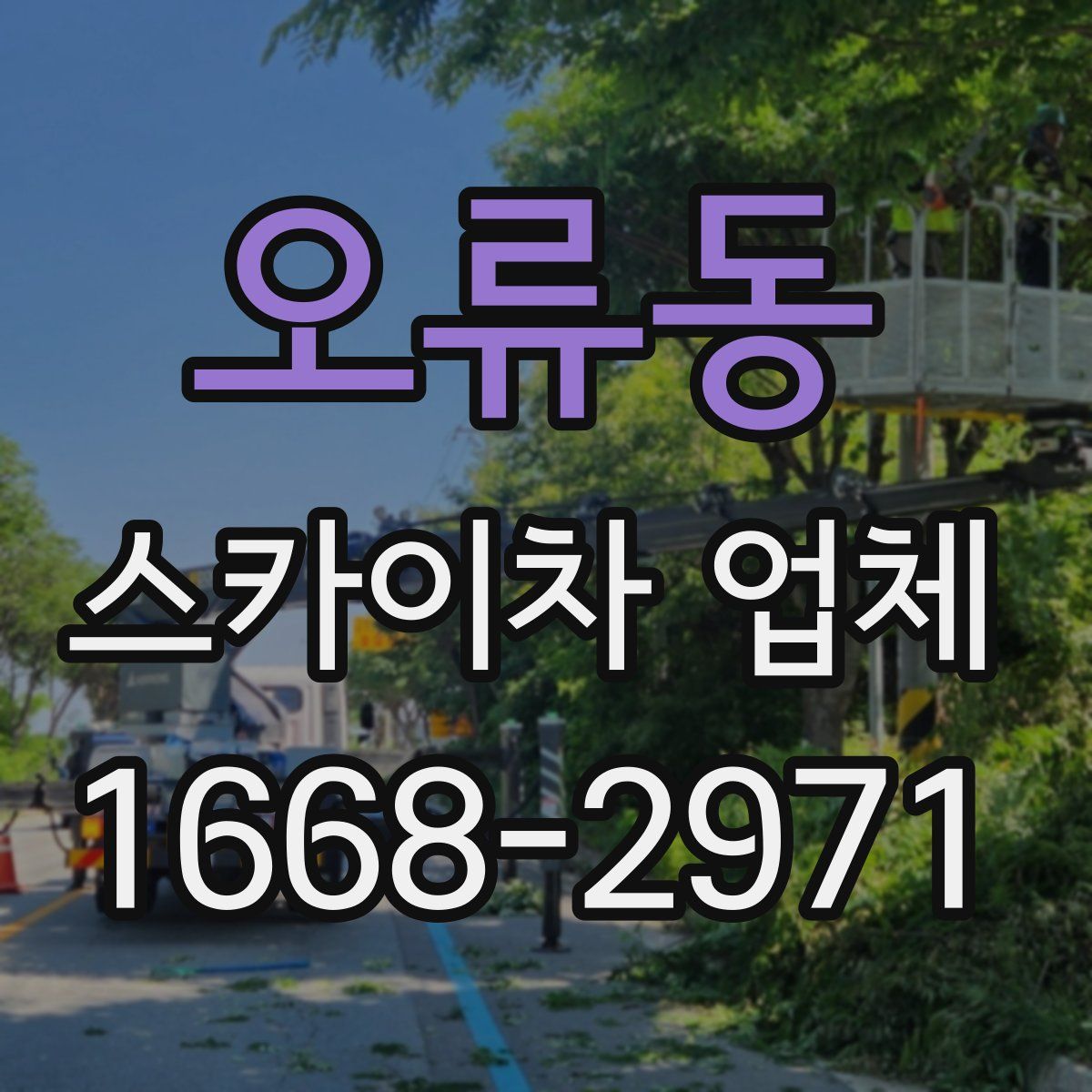 오류동 스카이차 업체