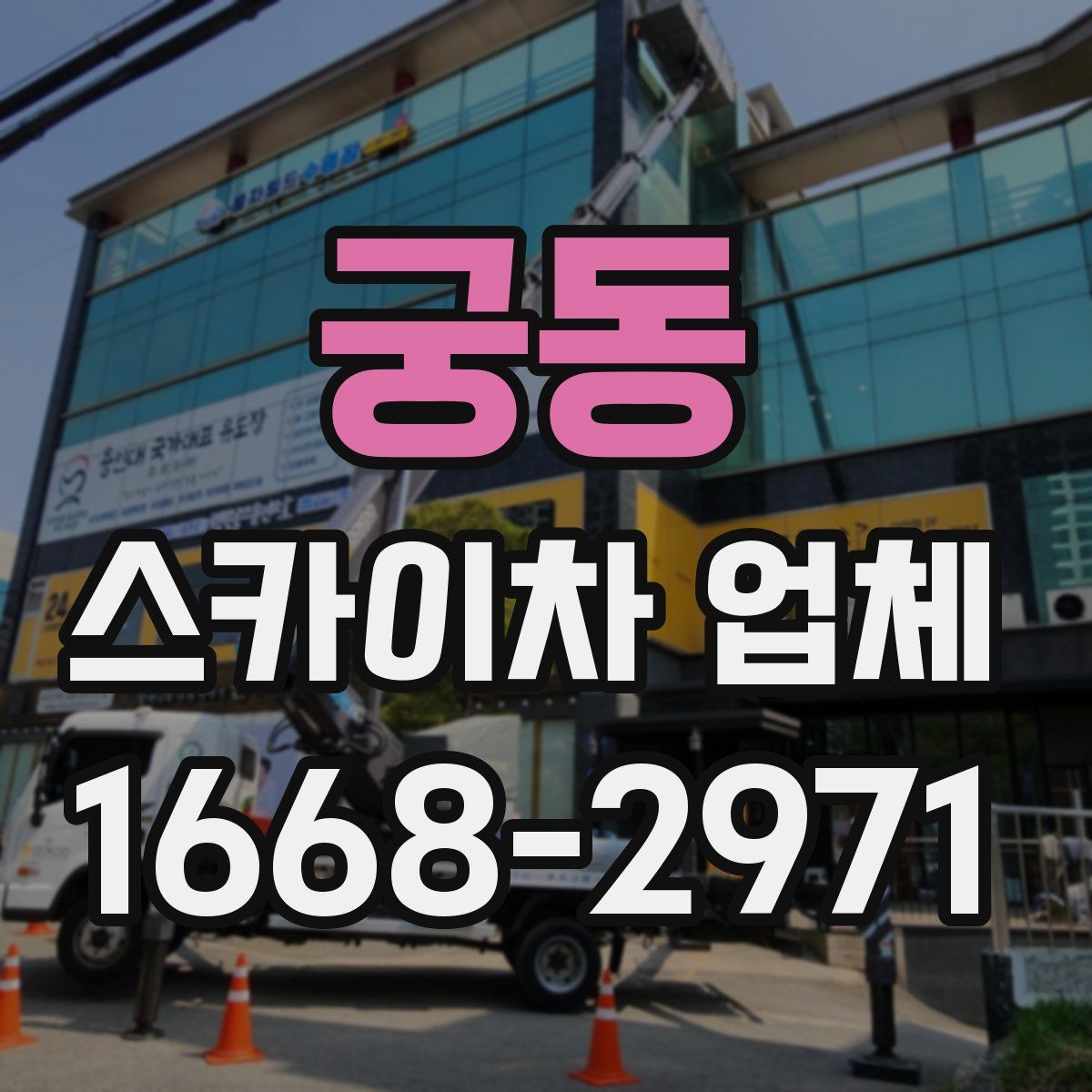 궁동 스카이차 업체