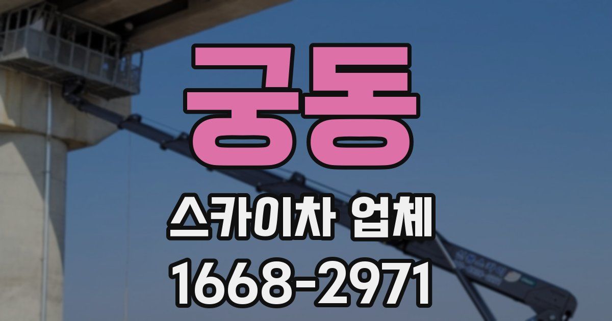 궁동 스카이차 업체