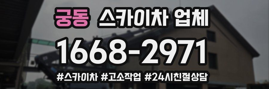 궁동 스카이차 업체