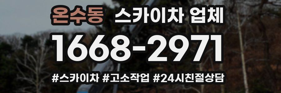 온수동 스카이차 업체
