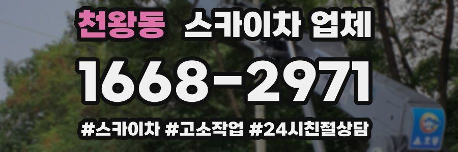 천왕동 스카이차 업체