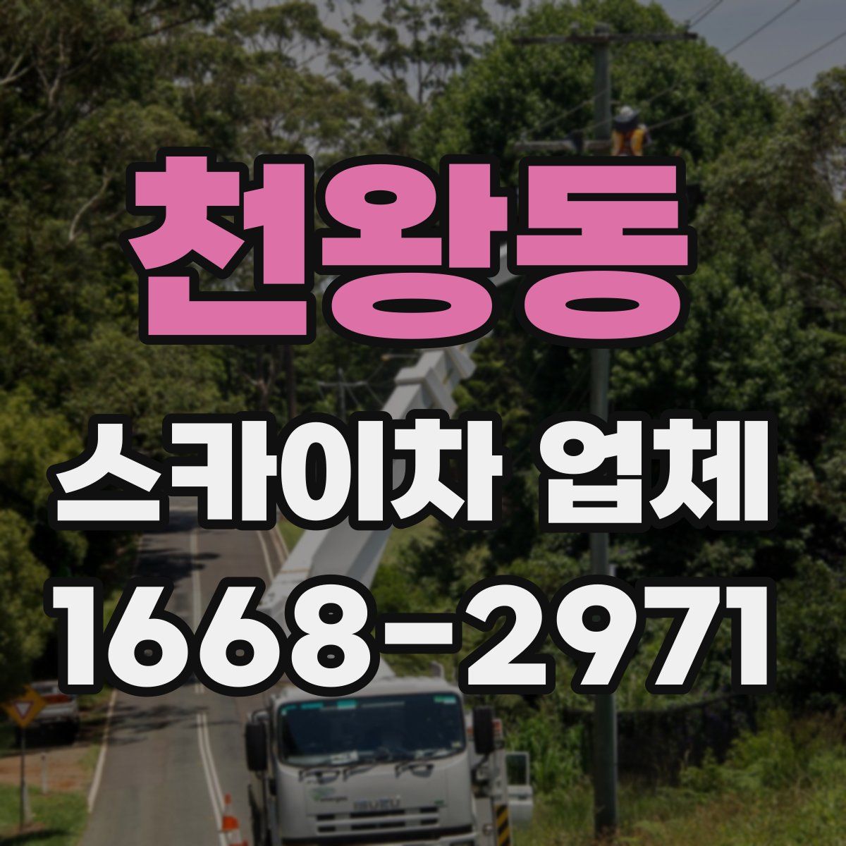 천왕동 스카이차 업체